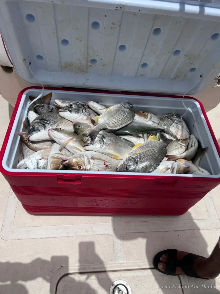 Panda 1 Luxury Fishing Yacht – fishing boat in Abu Dhabi (10)