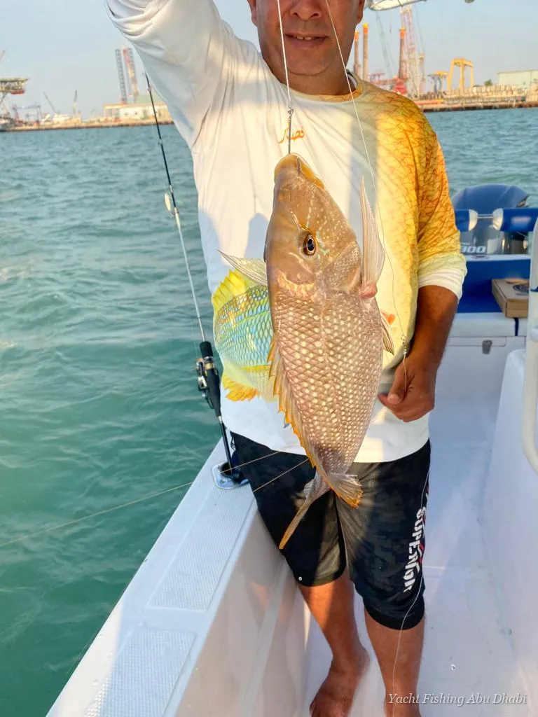 Panda 1 Luxury Fishing Yacht – fishing boat in Abu Dhabi (6)