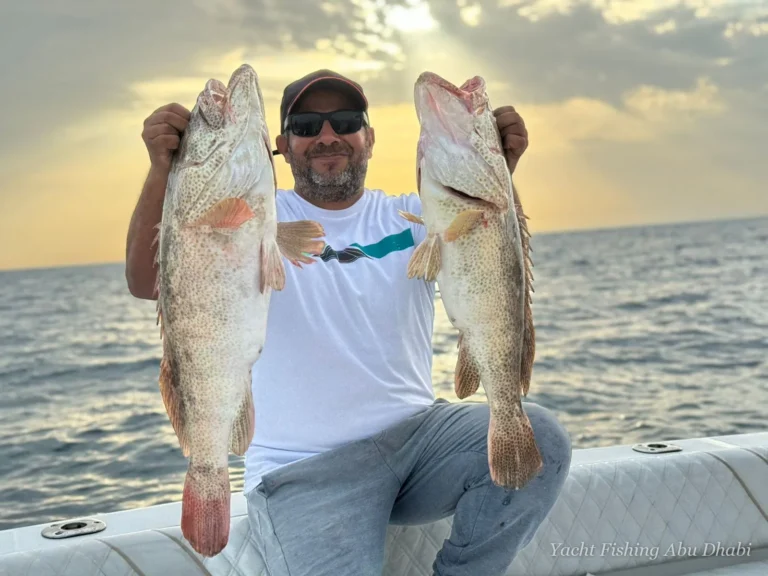 Two hamour caught at sunset on one of our trips – Yacht Fishing Abu Dhabi